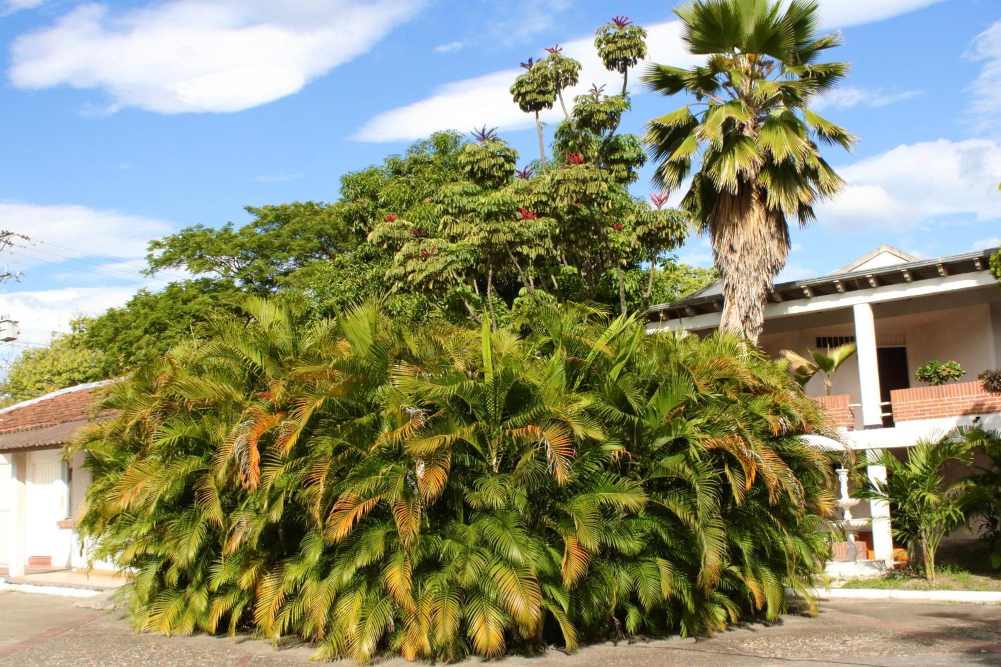 Hotel Mar Azul Neiva Neiva  Eksteriør bilde